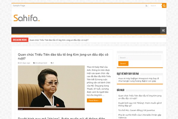 Sahifa theme site design template sample