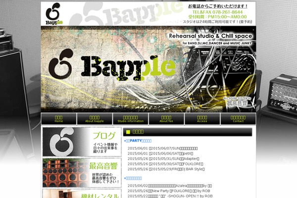 WordPress website example screenshot