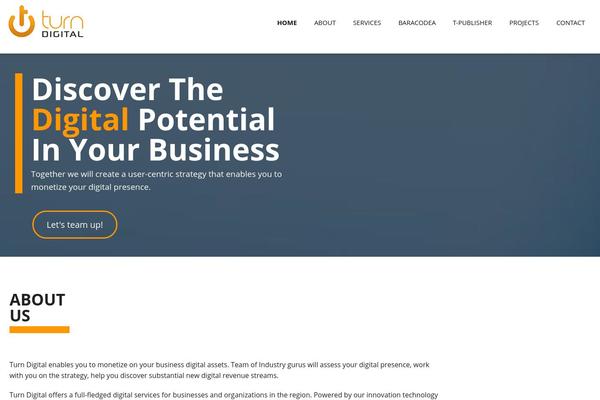 baracodea.com site used Turndigital
