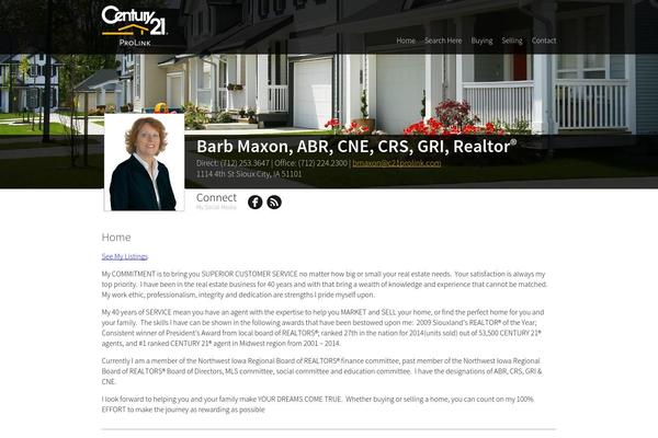 WordPress website example screenshot