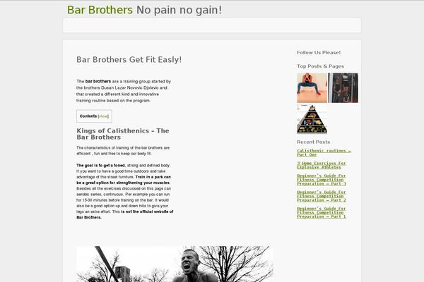 barbrothers.org site used Ctr-theme22