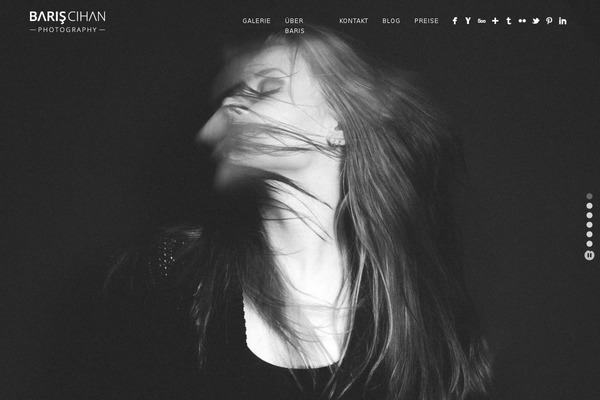 bariscihan theme websites examples
