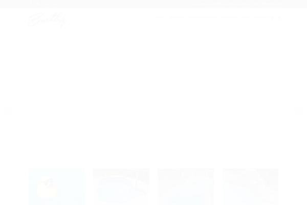 barkleypools.com site used Barkleypools