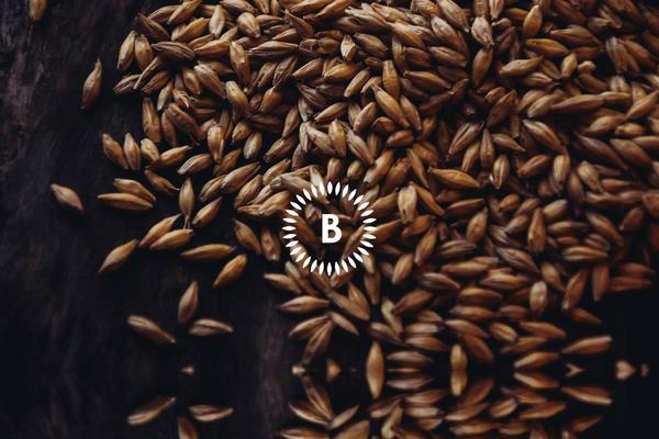 barmalt.com site used Bar_malt