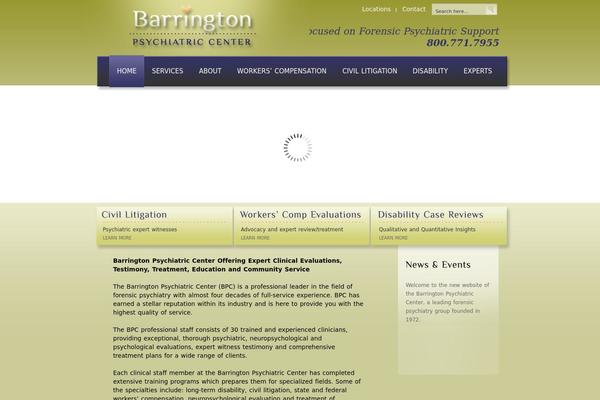 WordPress website example screenshot