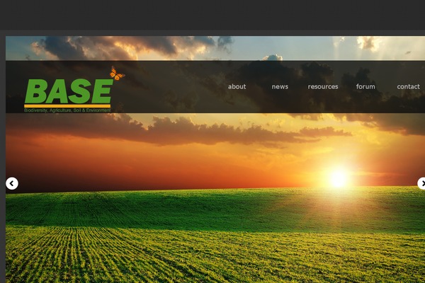 base-uk.co.uk site used Theme1539