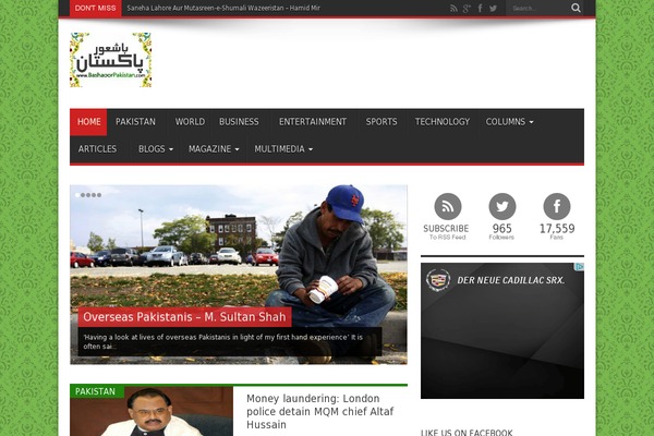 bsp theme websites examples