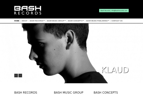 bashrecords.com site used Voltage