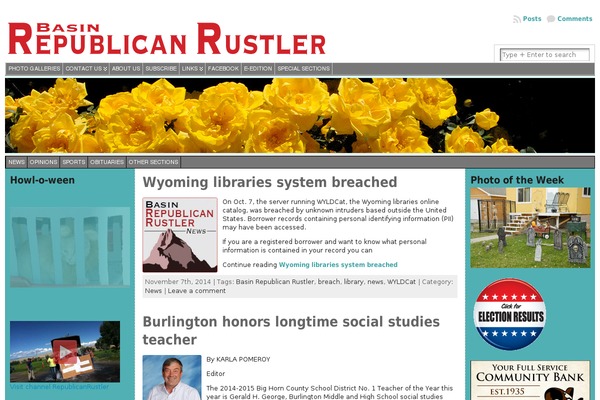 WordPress website example screenshot