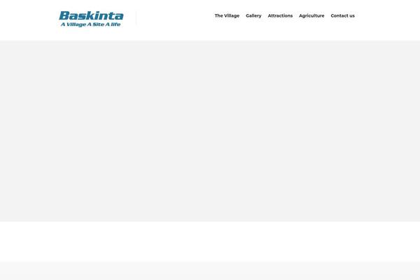 baskinta.com site used Baskinta