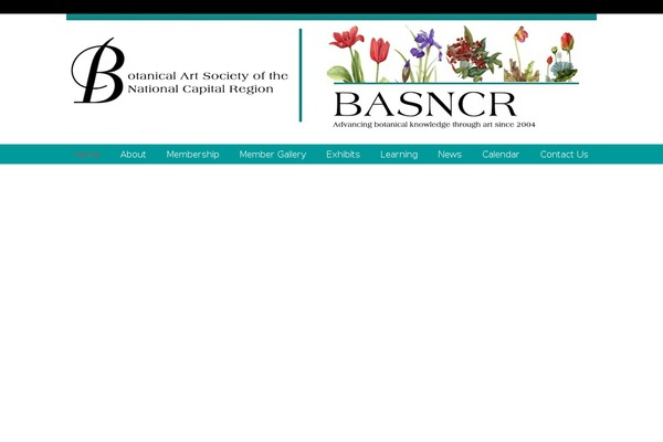 basncr.org site used Photocrati