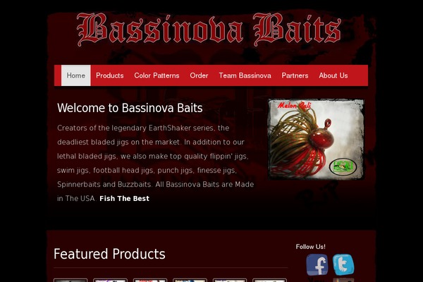 bassinovabaits.com site used Bassinovabaits