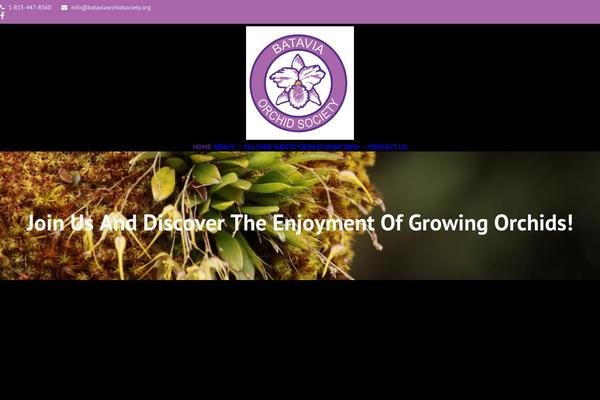 Site using Total-theme-core plugin