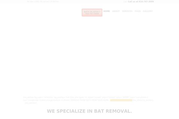 BugsPatrol theme site design template sample