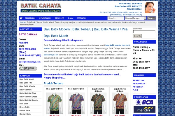 WordPress website example screenshot