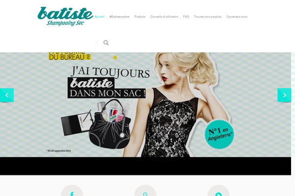 Salient theme site design template sample