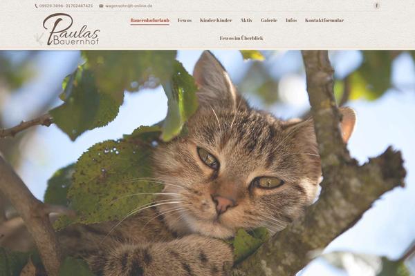 WordPress website example screenshot
