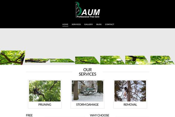 baumtreecare.com site used X | The Theme