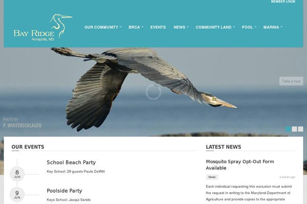 bay-ridge.org site used Bayridgec