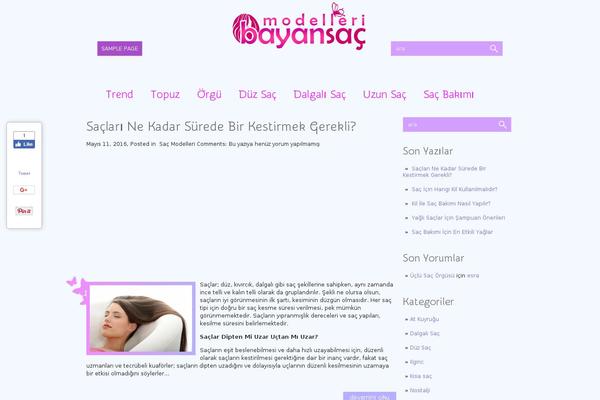 WordPress website example screenshot