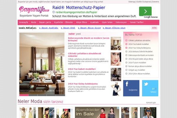 Guzellikle WordPress theme, websites list used Guzellikle theme Guzellikle theme websites examples