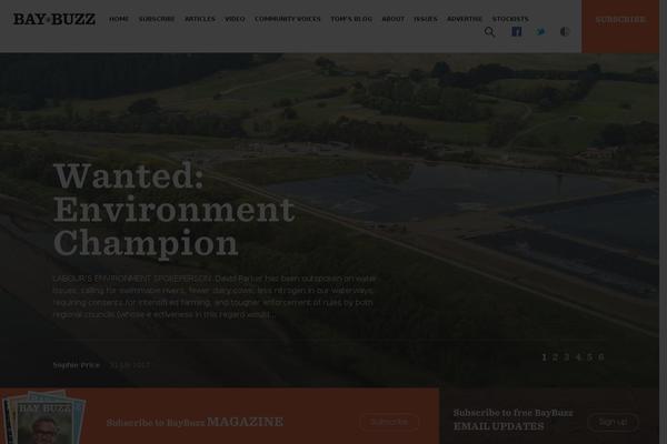 baybuzz.co.nz site used Baybuzz2015