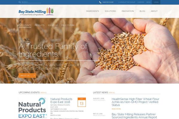 Bsm theme site design template sample