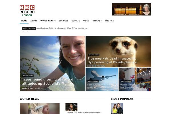 WordPress website example screenshot