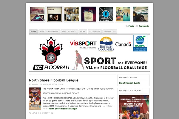 Site using Awesome Flickr Gallery plugin