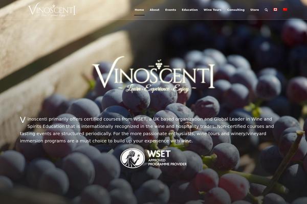 Enfold theme site design template sample
