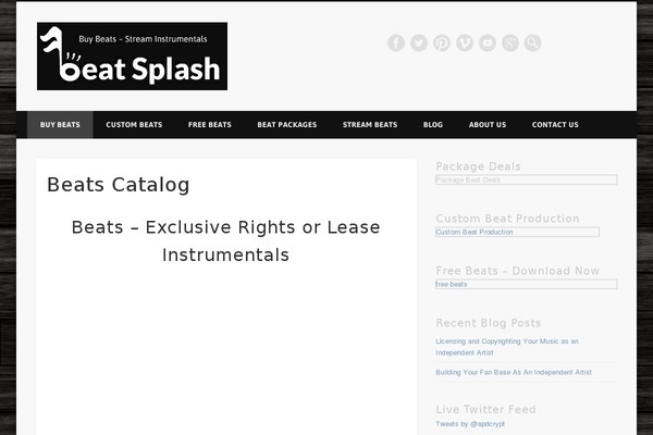WordPress website example screenshot
