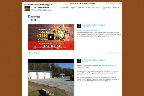 WordPress website example screenshot