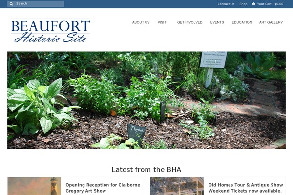 Virtue Premium theme site design template sample