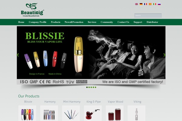 beauticig theme websites examples