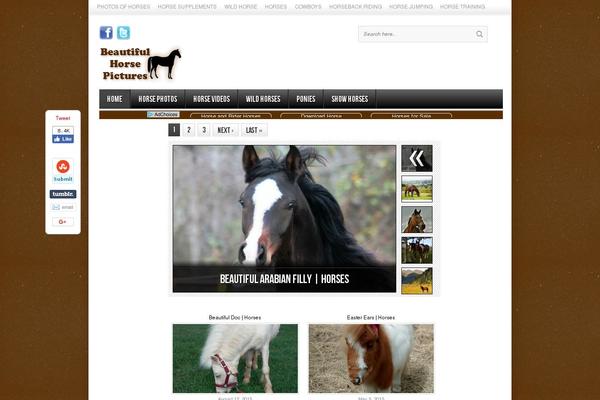beautifulhorsepictures.com site used Black_box_cash