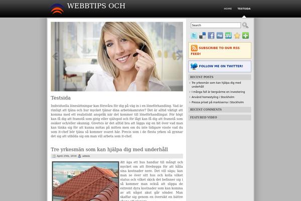 WordPress website example screenshot