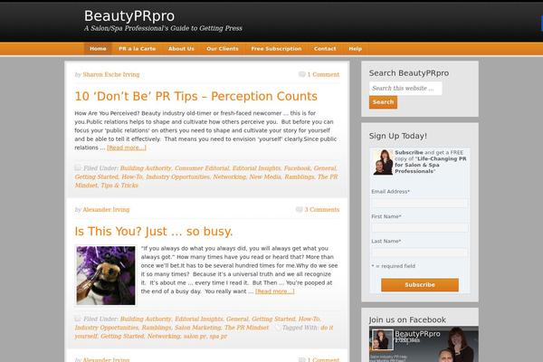 Copyblogger theme site design template sample