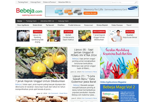 bebeja.com site used Linepress