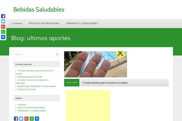 bebidassaludables.com site used zeeFocus