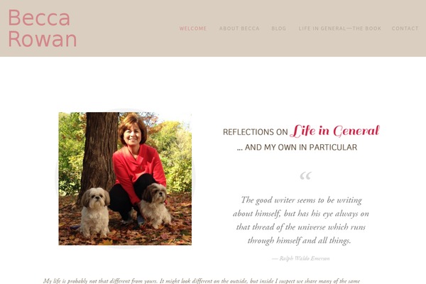Contango theme site design template sample