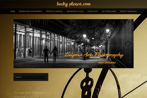 Photolux theme site design template sample