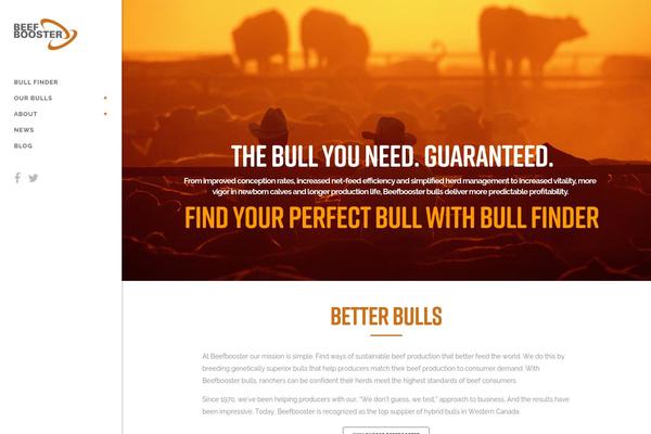 Bridge theme site design template sample