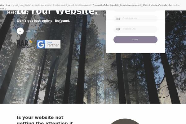 WordPress website example screenshot