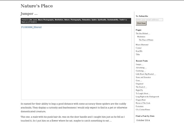 Site using Ie-sitemode plugin