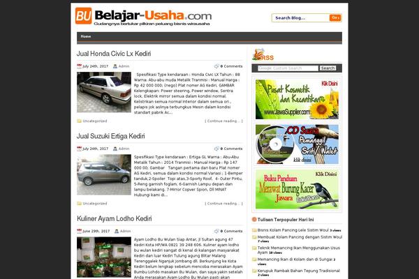 WordPress website example screenshot