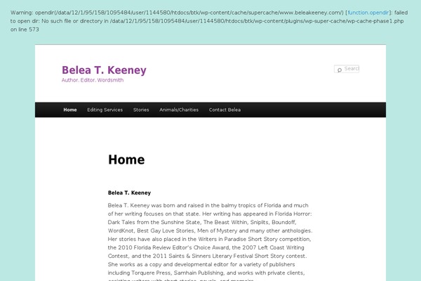 Twenty Eleven theme site design template sample