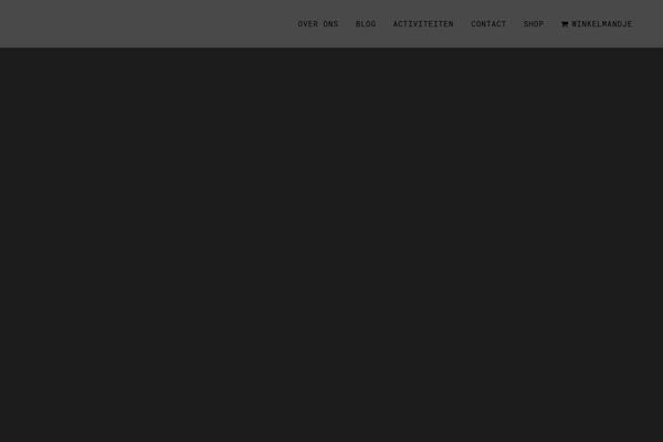 Bridge theme site design template sample