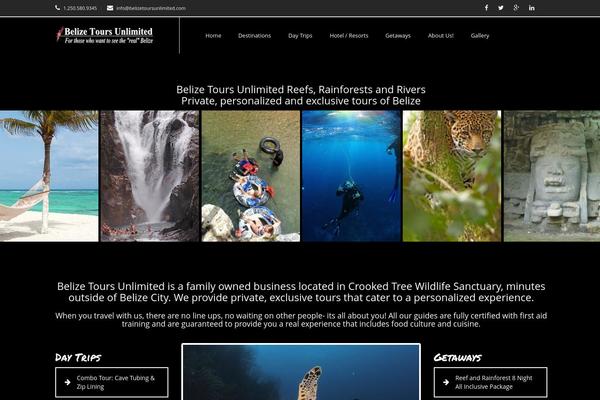 Gowilds theme site design template sample