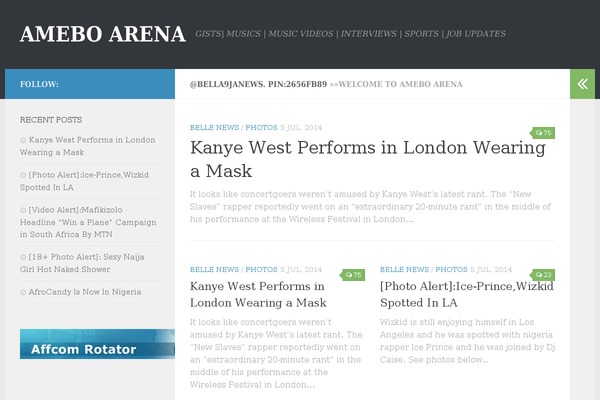 WordPress website example screenshot