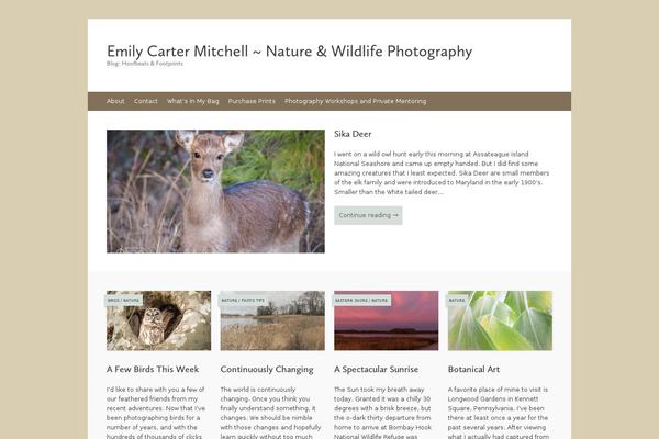 Site using Custom-fonts plugin